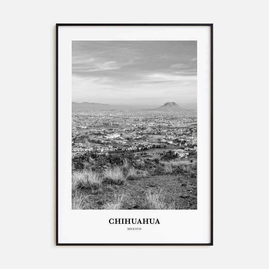 Chihuahua Portrait B&W Poster