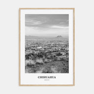 Chihuahua Portrait B&W Poster