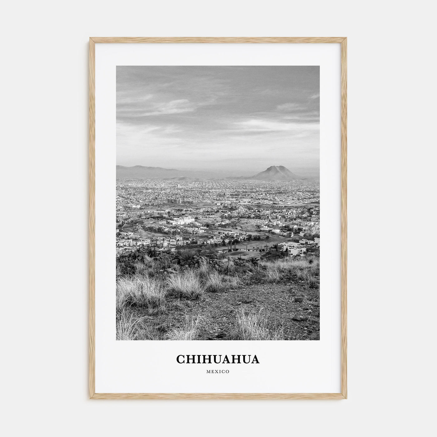 Chihuahua Portrait B&W Poster