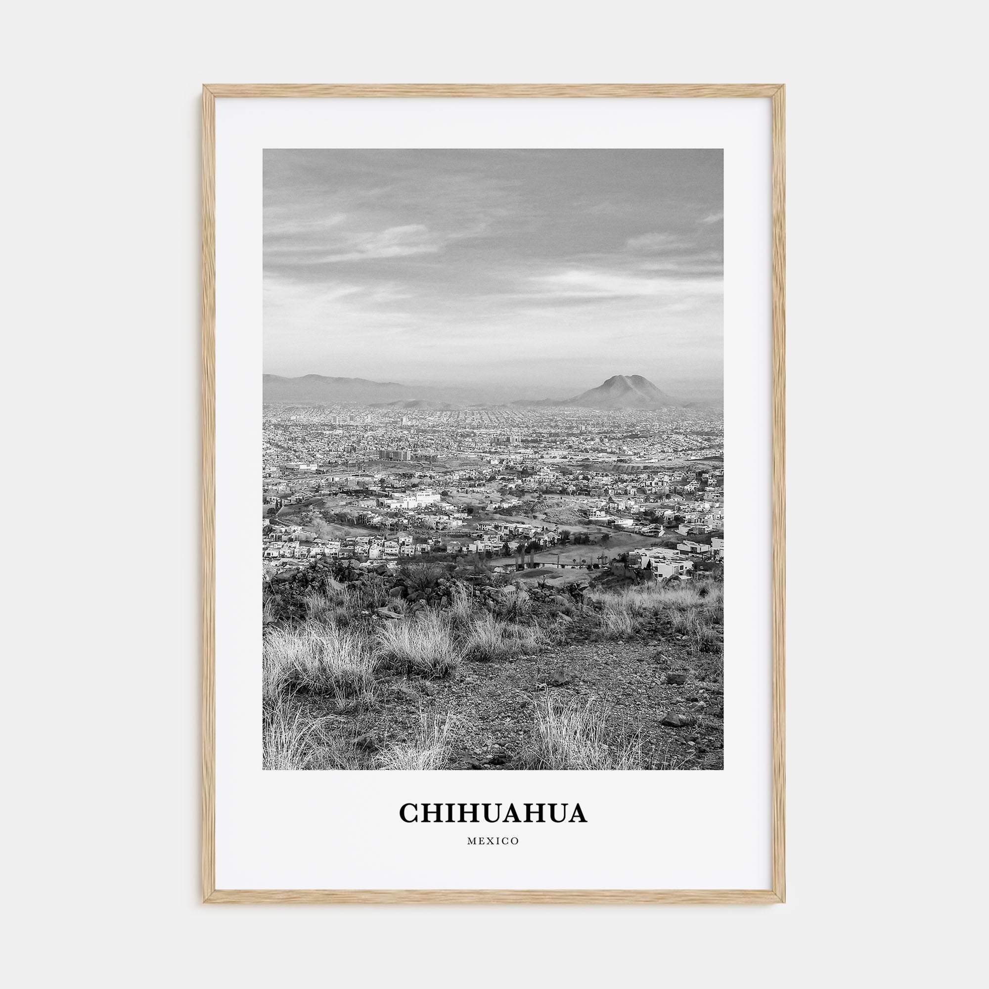 Chihuahua Portrait B&W Poster