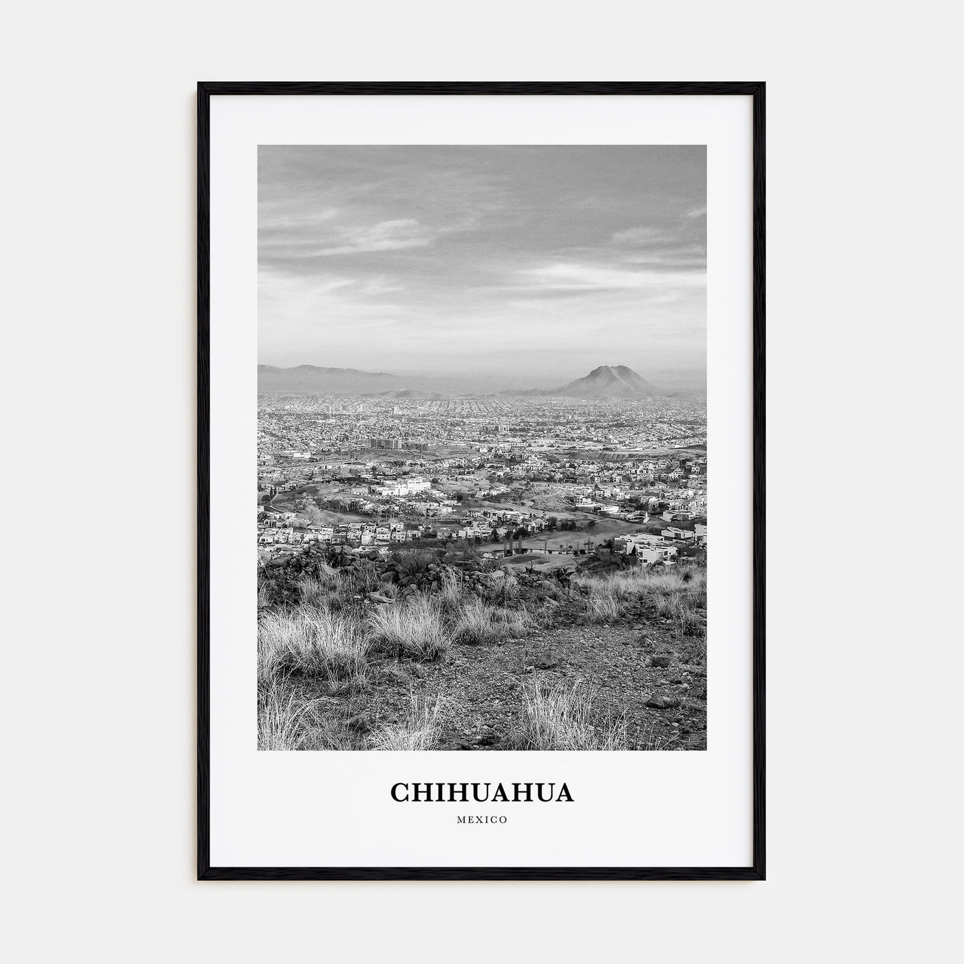 Chihuahua Portrait B&W Poster