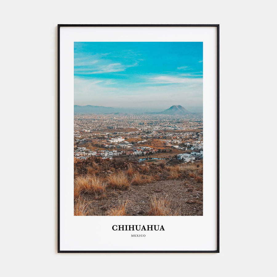 Chihuahua Portrait Color Poster