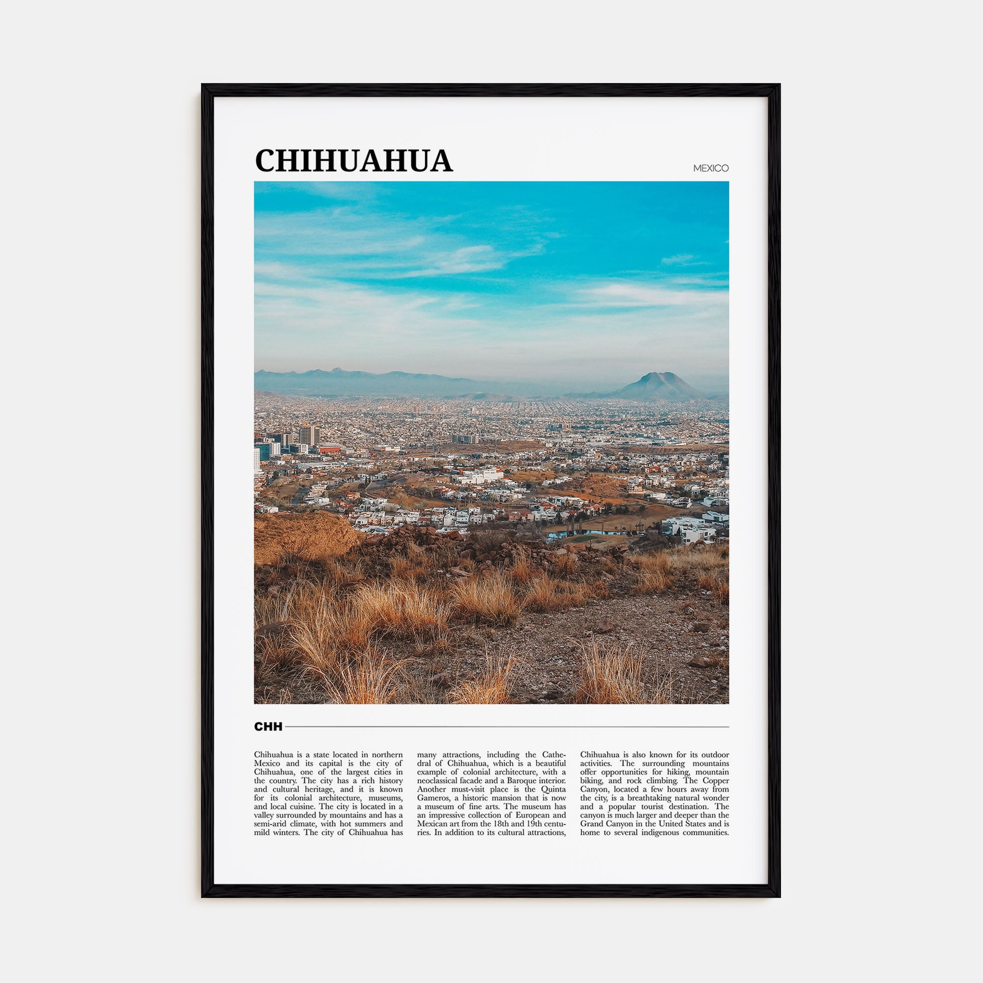 Chihuahua Travel Color Poster