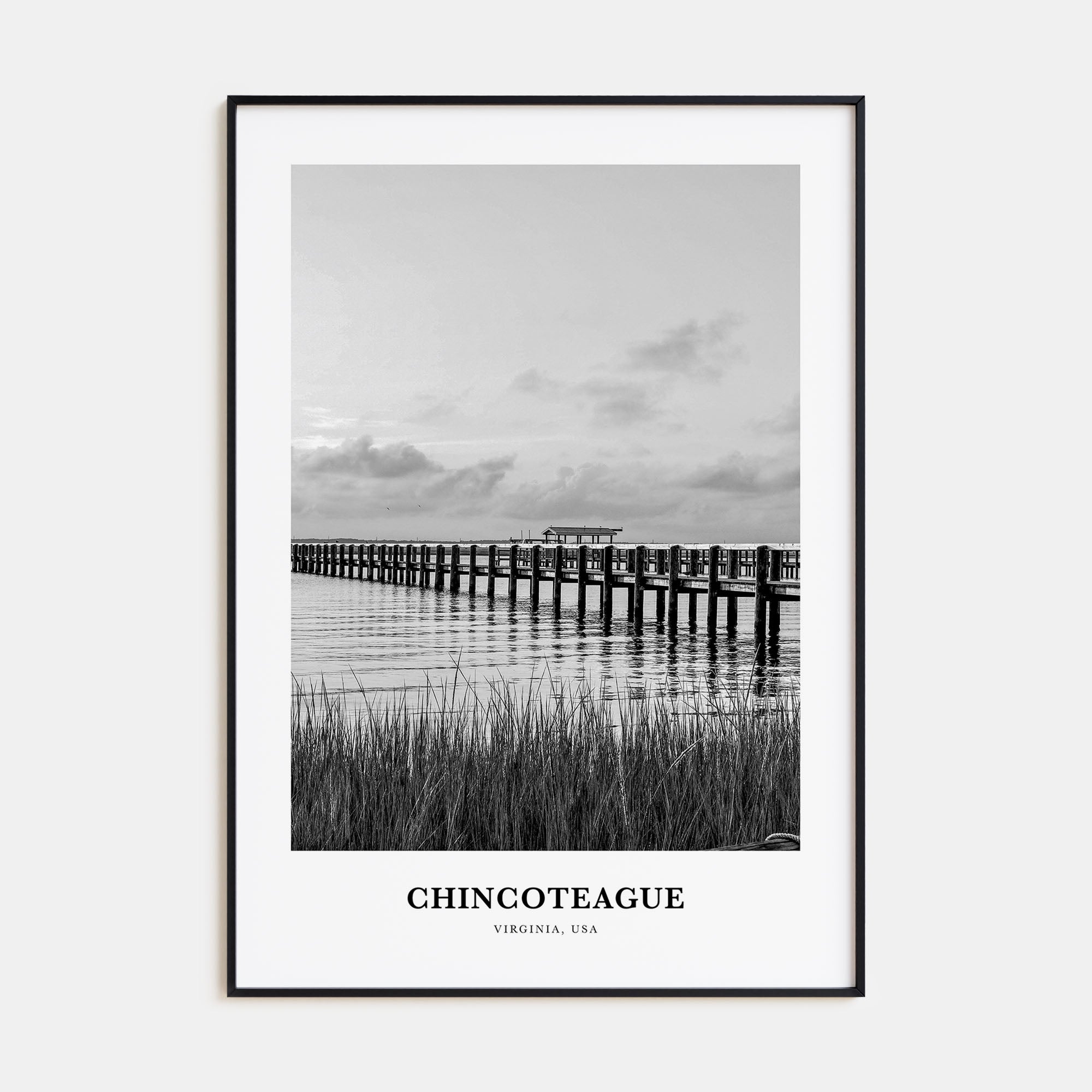 Chincoteague Portrait B&W Poster