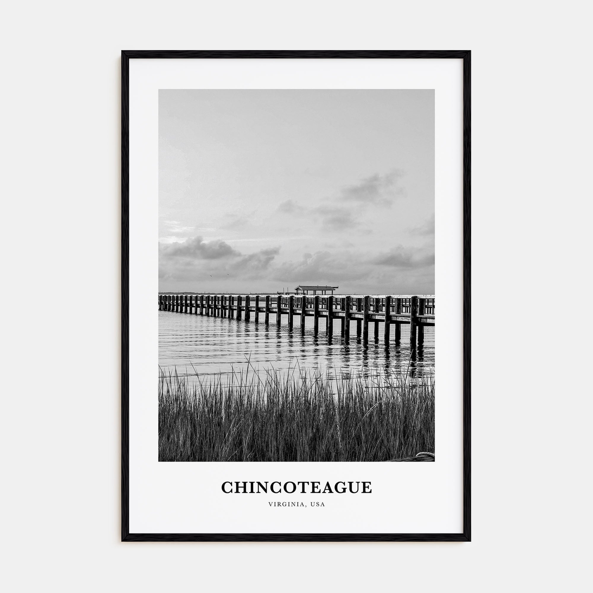 Chincoteague Portrait B&W Poster