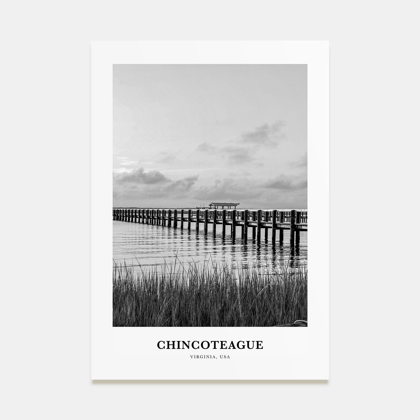 Chincoteague Portrait B&W Poster