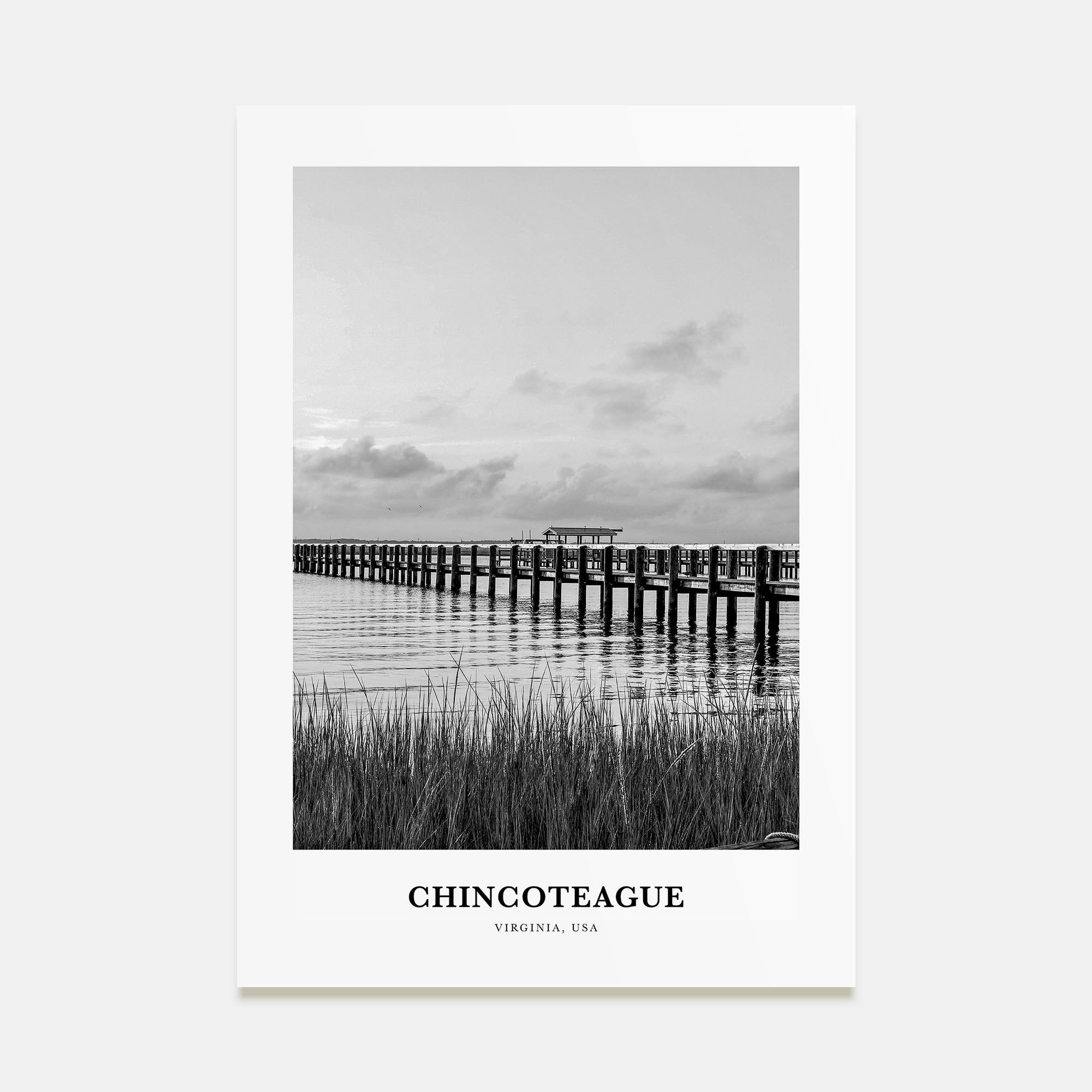 Chincoteague Portrait B&W Poster