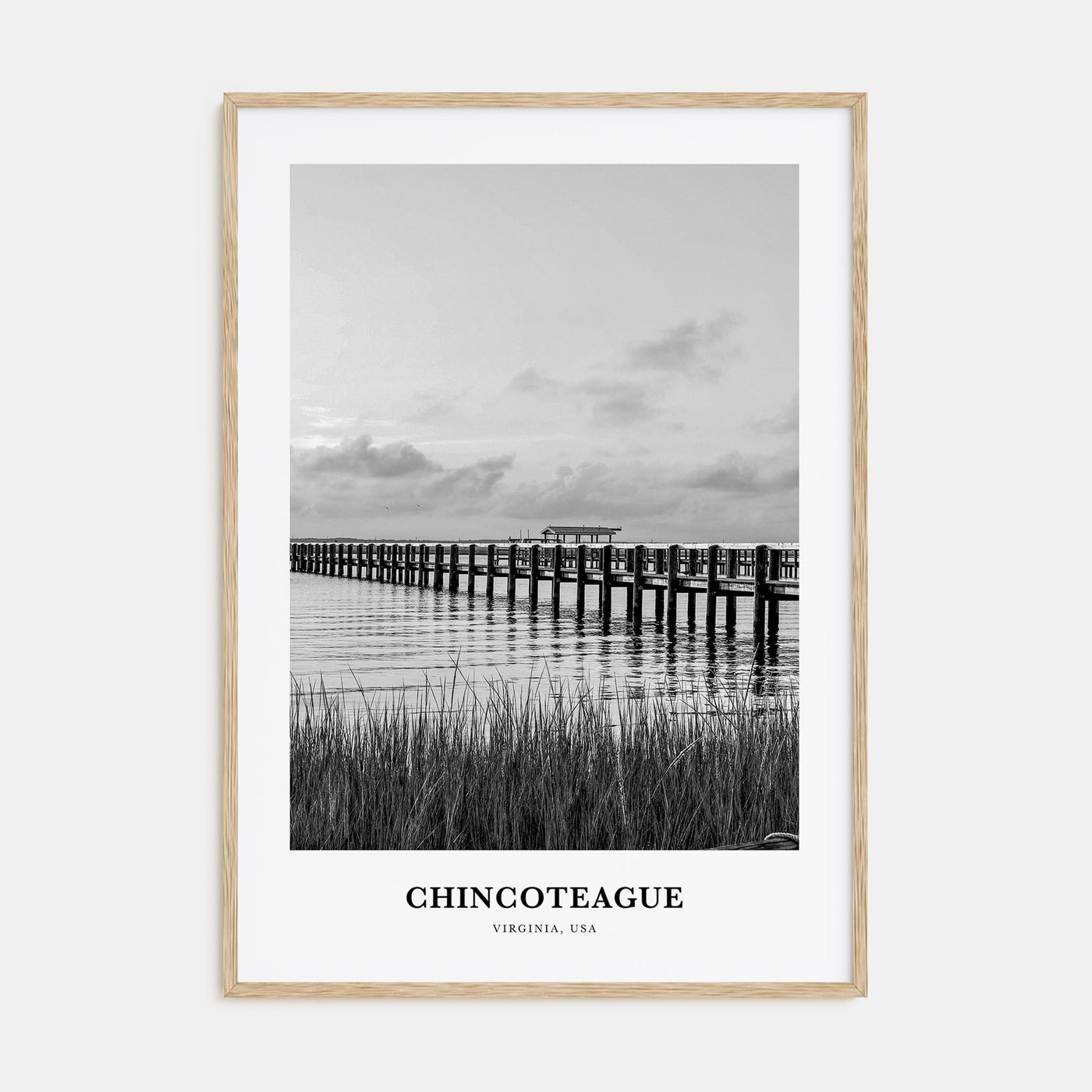 Chincoteague Portrait B&W Poster