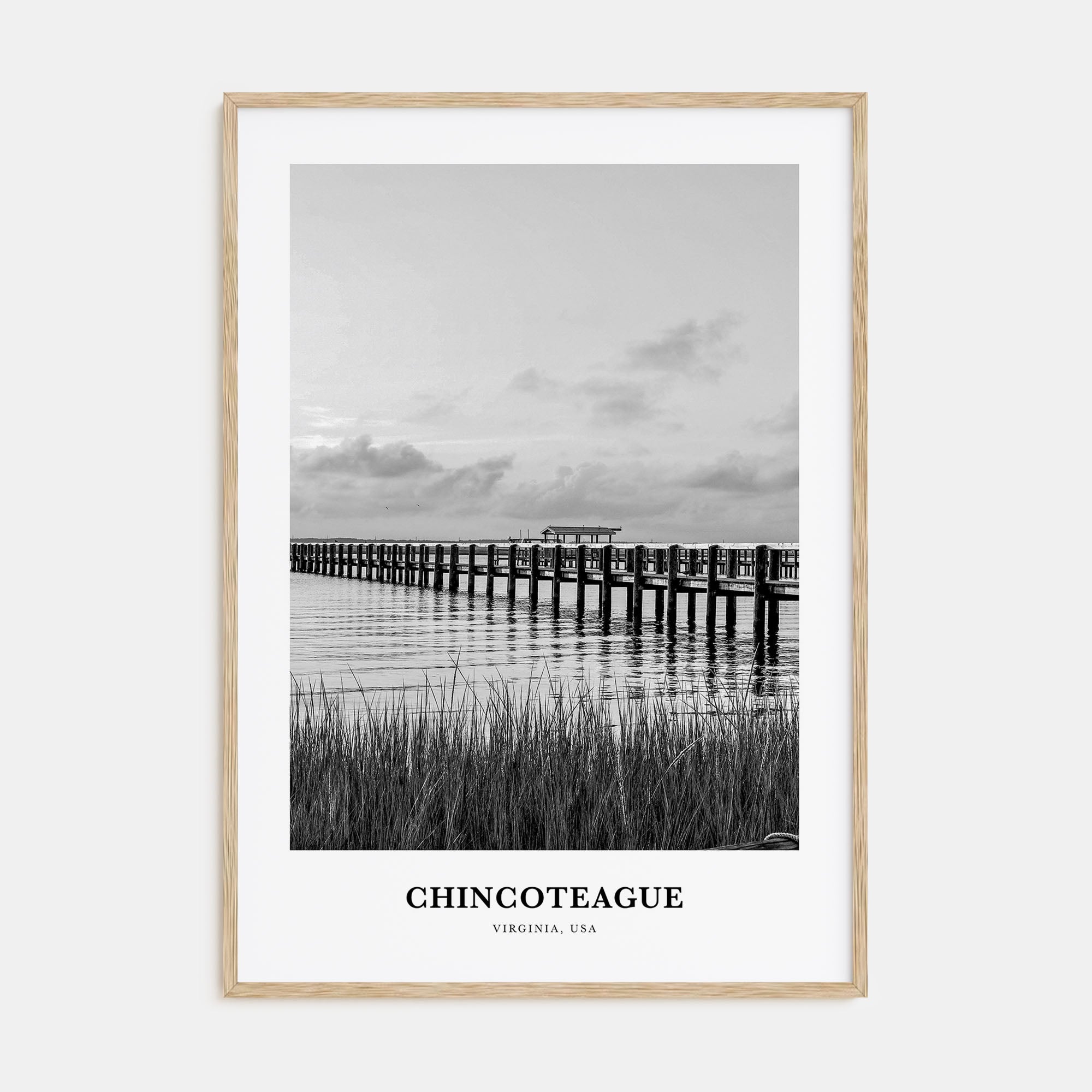 Chincoteague Portrait B&W Poster