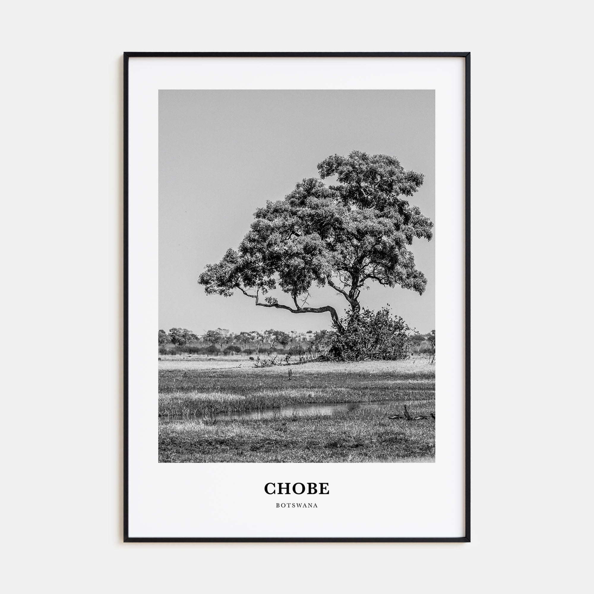 Chobe National Park Portrait B&W Poster