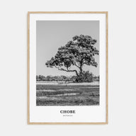 Chobe National Park Portrait B&W Poster