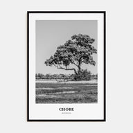 Chobe National Park Portrait B&W Poster