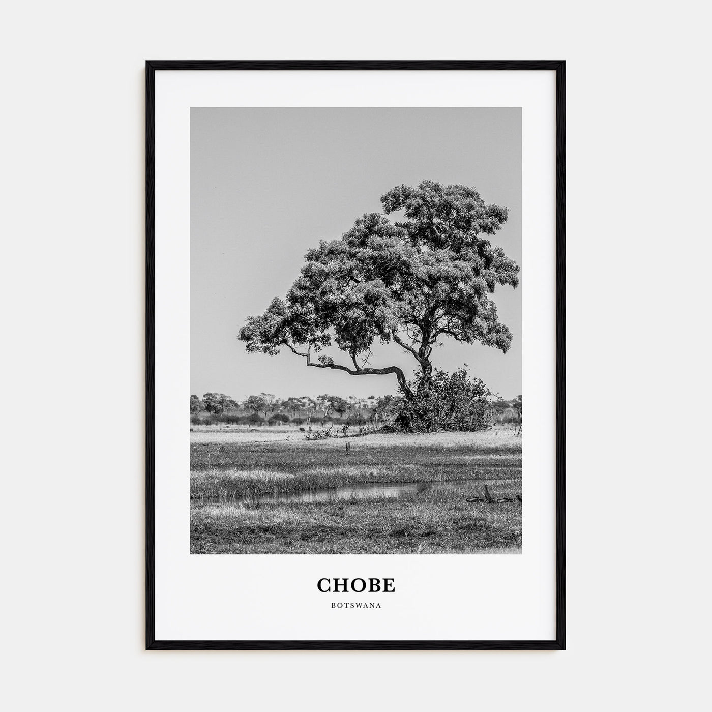 Chobe National Park Portrait B&W Poster