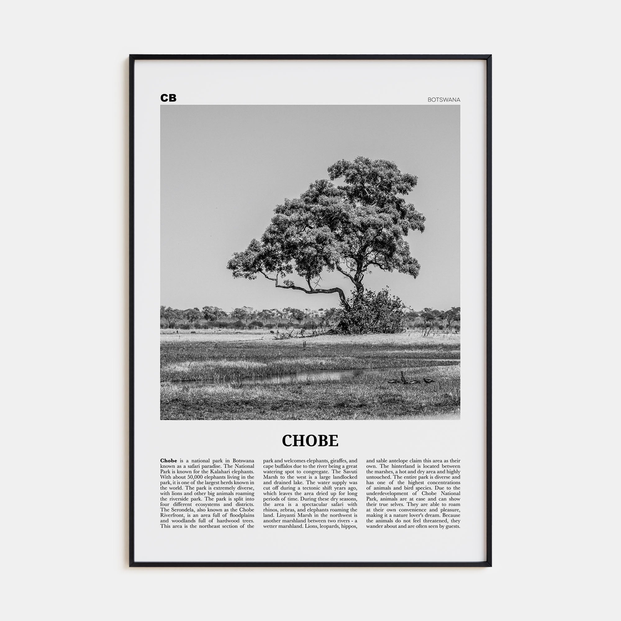 Chobe National Park Travel B&W Poster