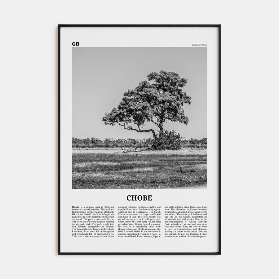 Chobe National Park Travel B&W Poster