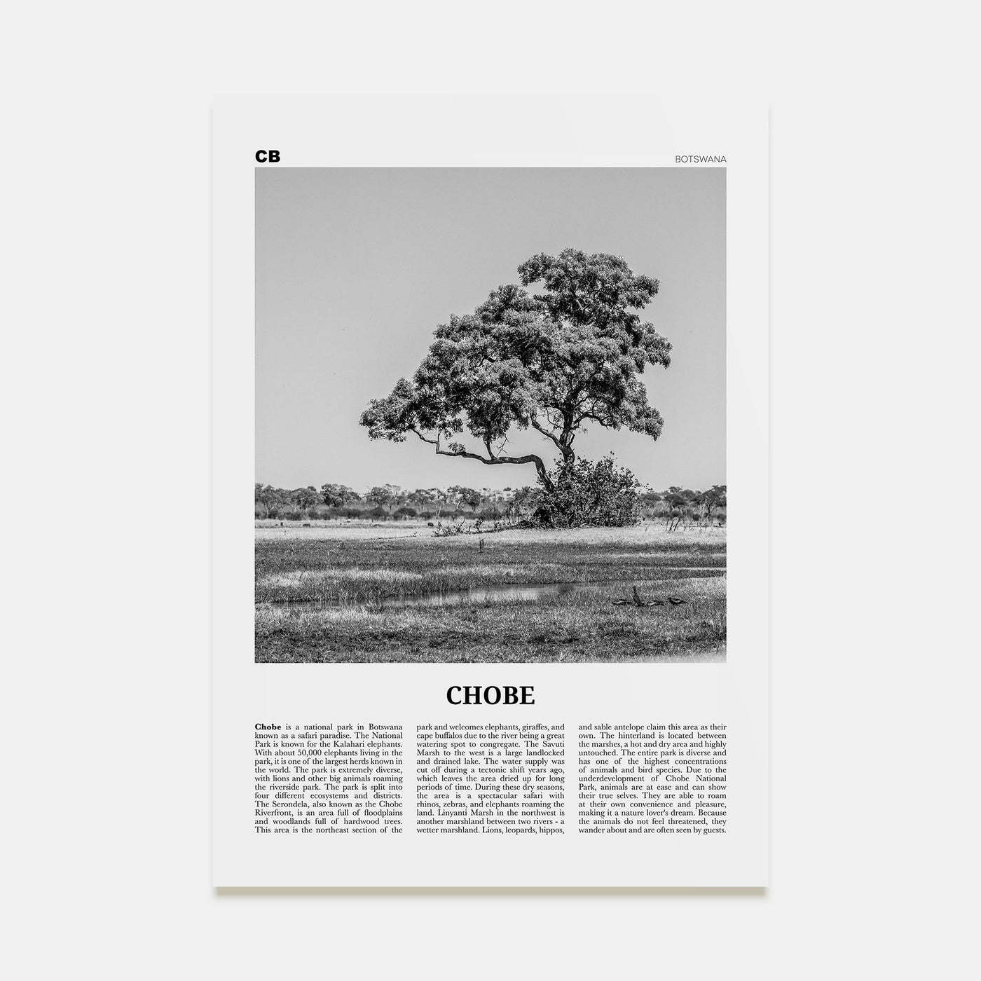 Chobe National Park Travel B&W Poster