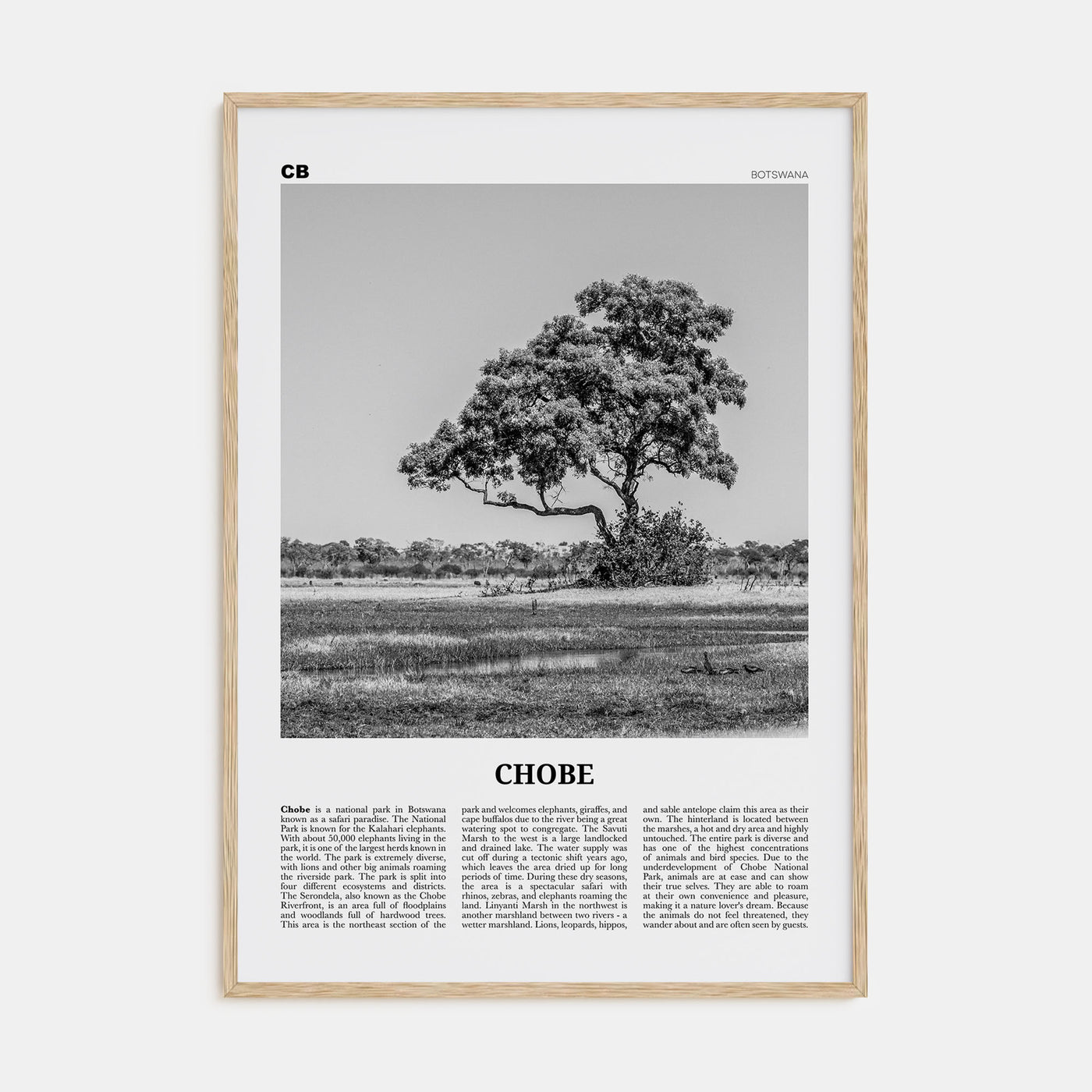 Chobe National Park Travel B&W Poster