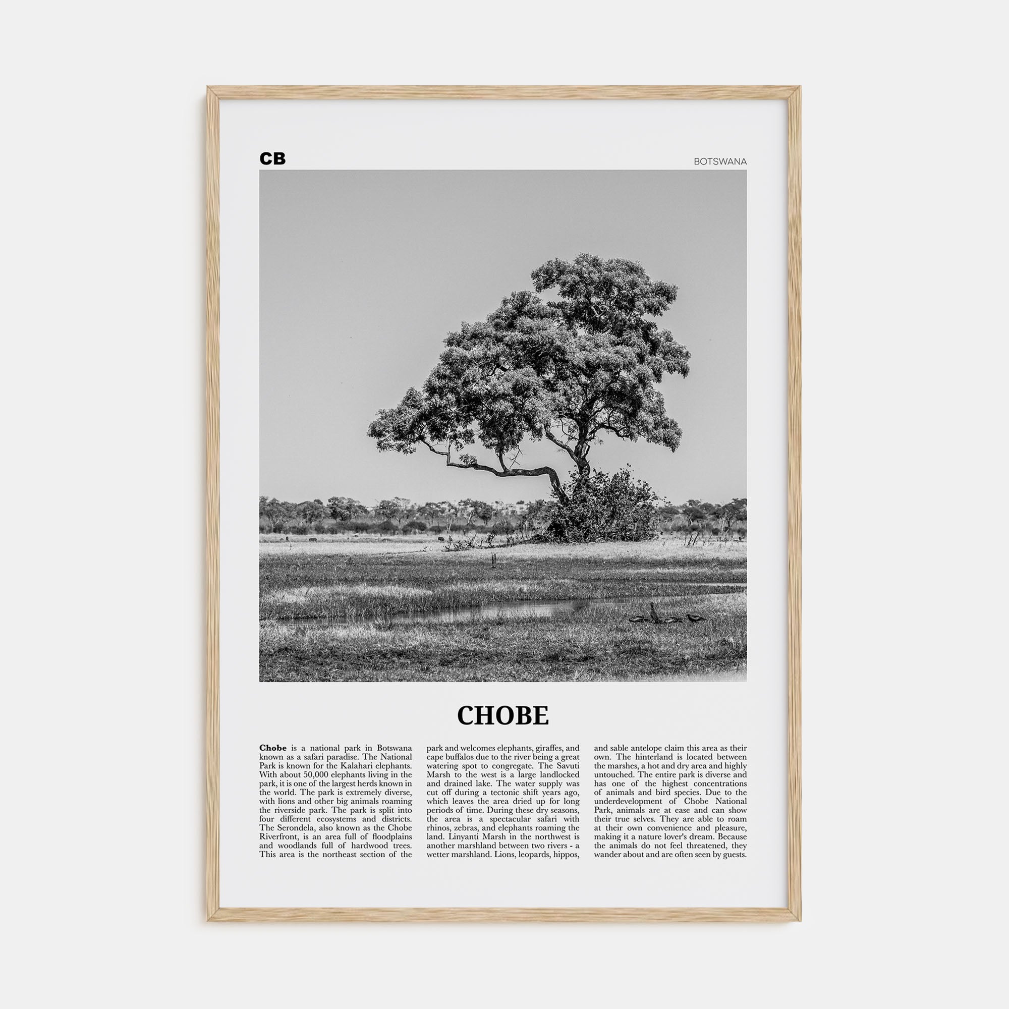 Chobe National Park Travel B&W Poster