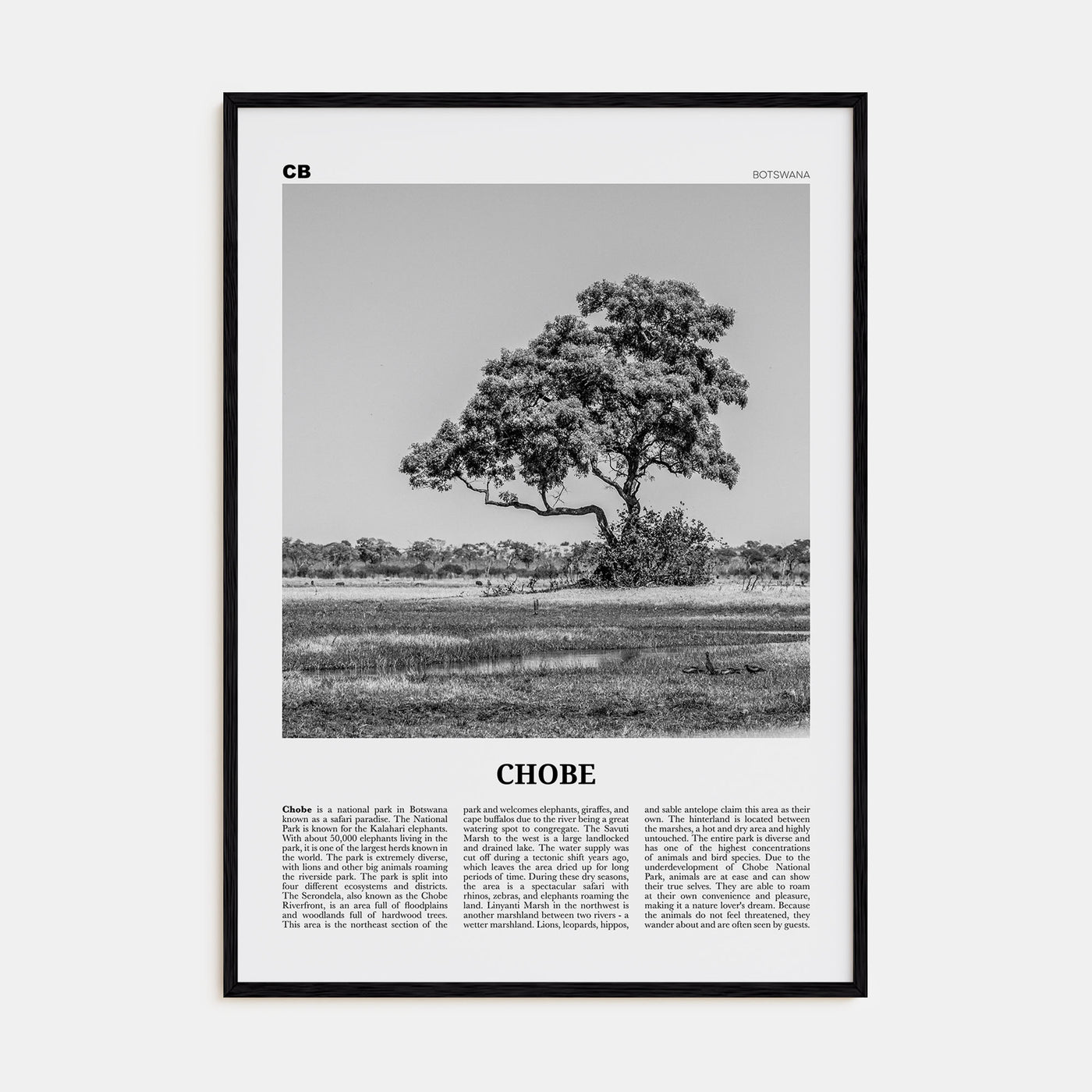 Chobe National Park Travel B&W Poster