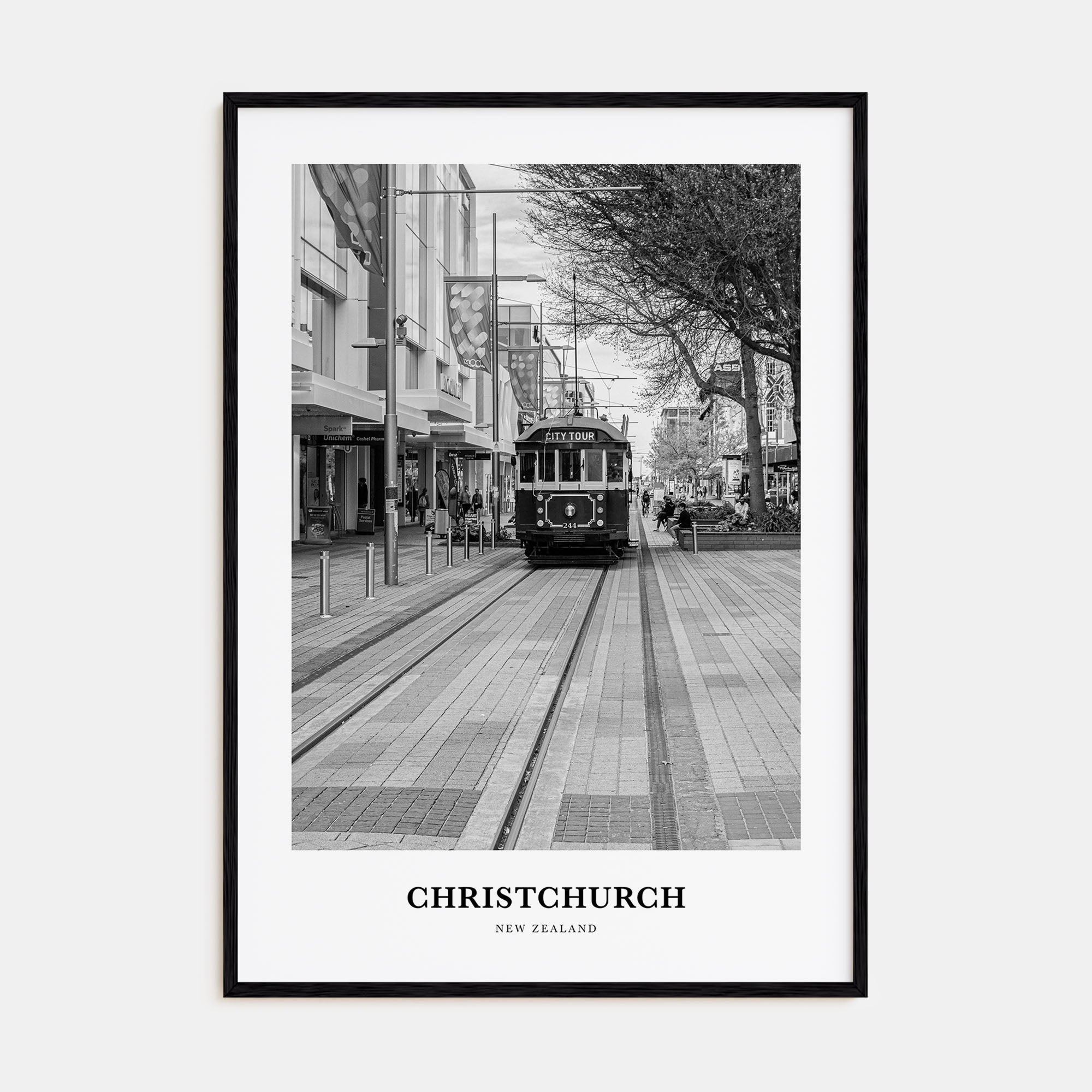 Christchurch Portrait B&W No 2 Poster