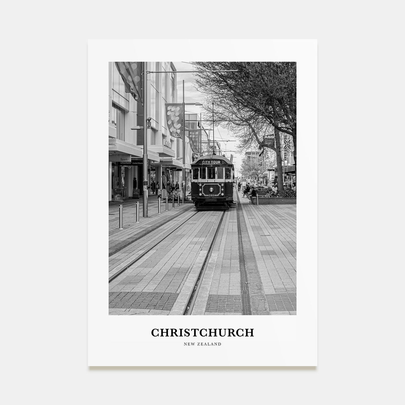 Christchurch Portrait B&W No 2 Poster