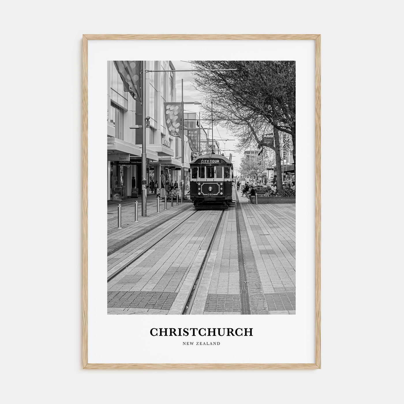 Christchurch Portrait B&W No 2 Poster