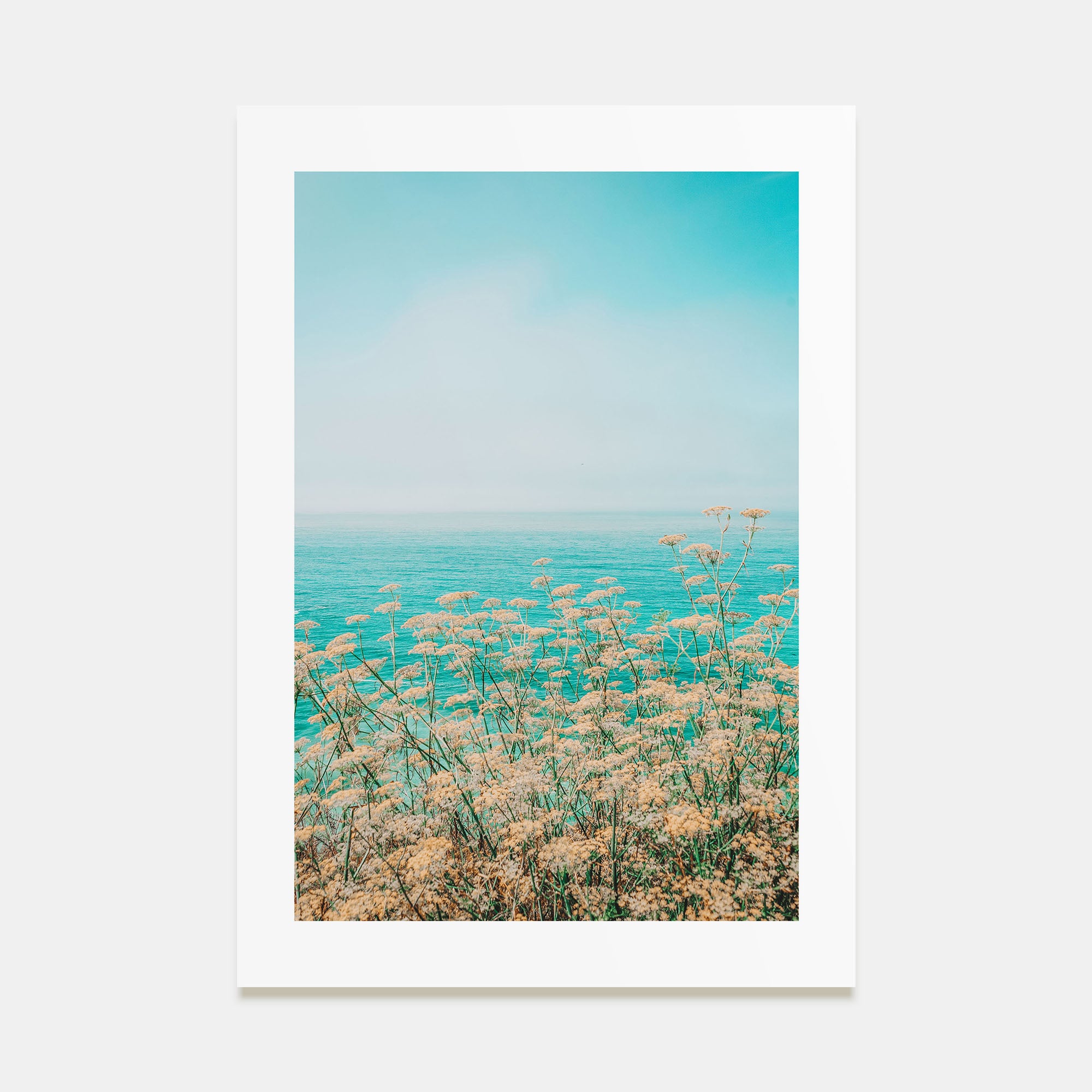 Clear Sky Yellow Flowers Photo Color Poster