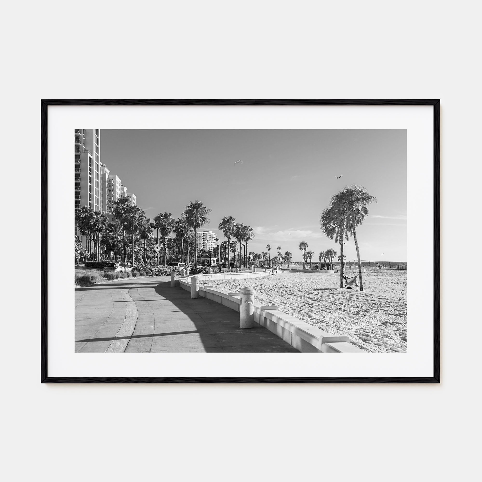Clearwater Landscape B&W Poster