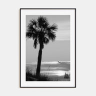Clearwater Photo B&W No 3 Poster