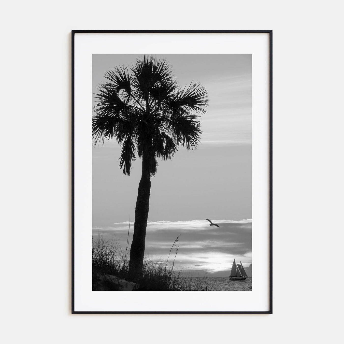 Clearwater Photo B&W No 3 Poster