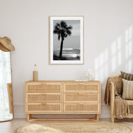 Clearwater Photo B&W No 3 Poster