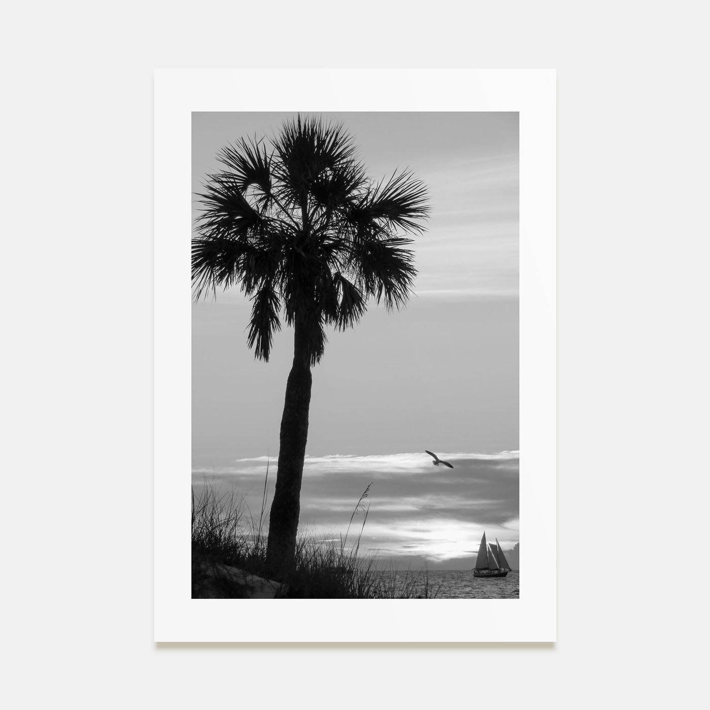 Clearwater Photo B&W No 3 Poster
