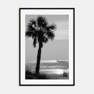 Clearwater Photo B&W No 3 Poster