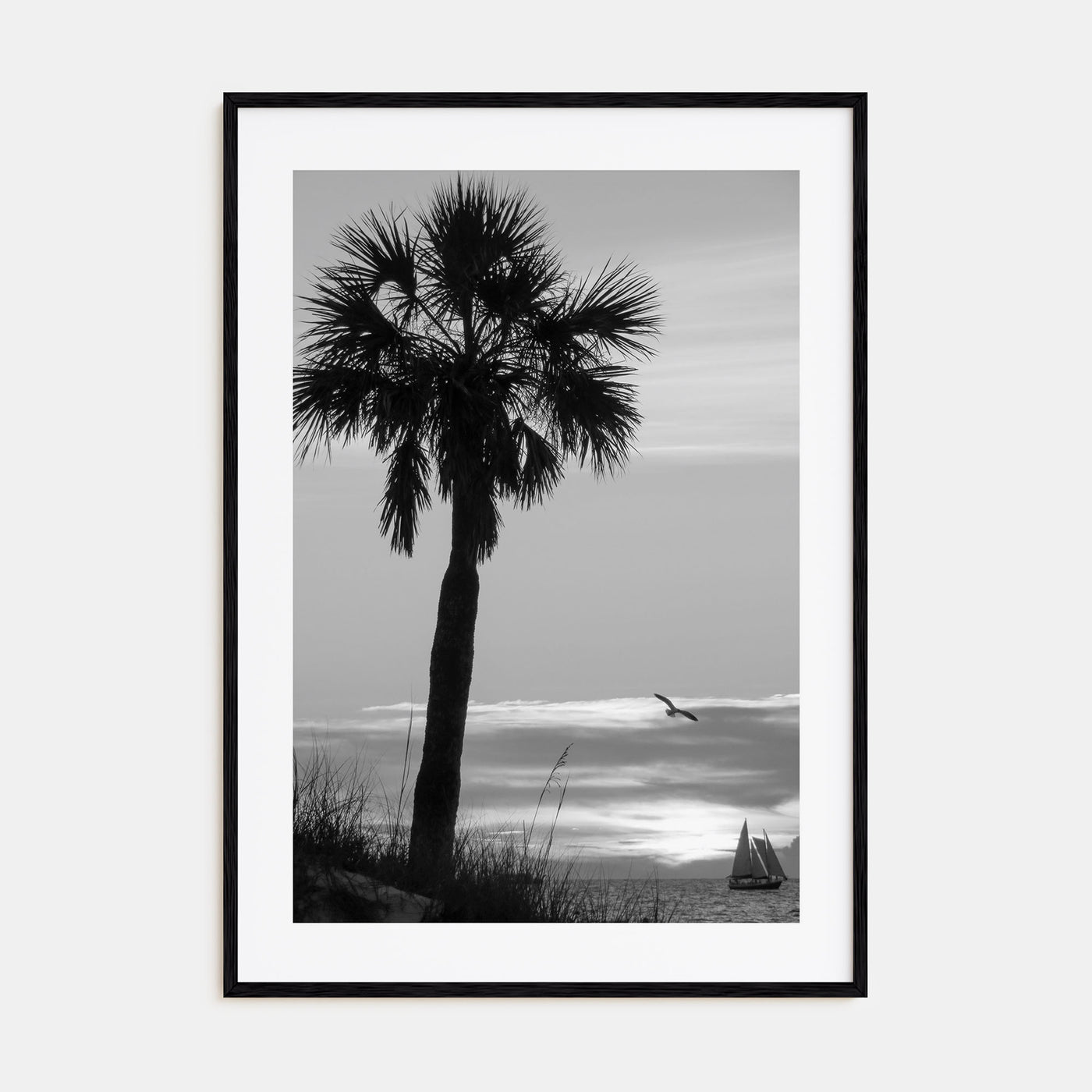 Clearwater Photo B&W No 3 Poster