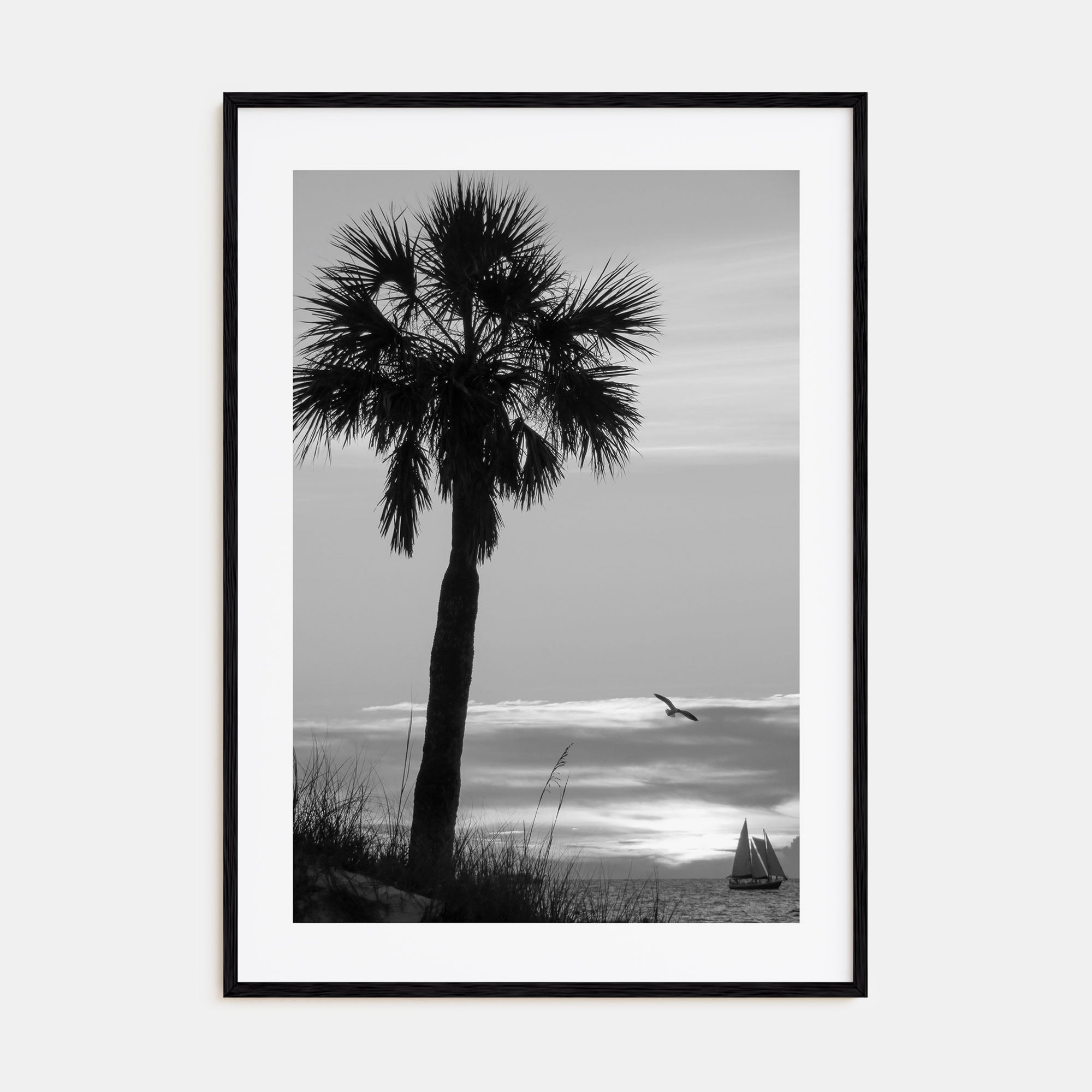 Clearwater Photo B&W No 3 Poster