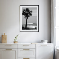 Clearwater Photo B&W No 3 Poster