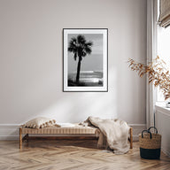 Clearwater Photo B&W No 3 Poster