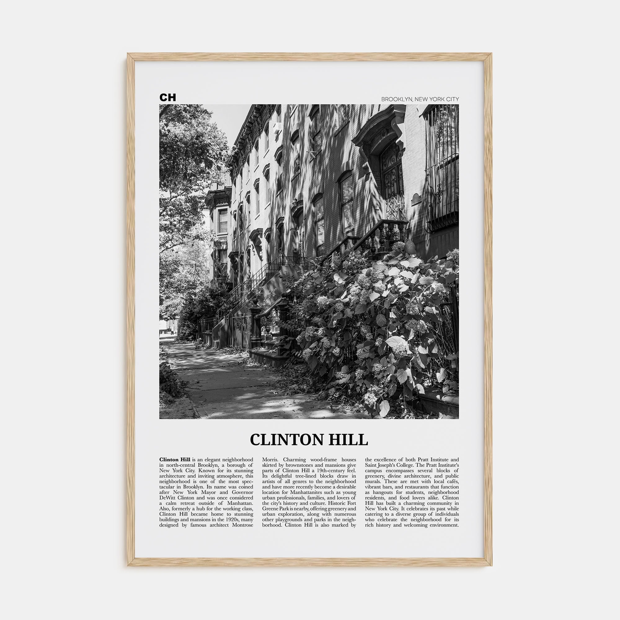 Clinton Hill Travel B&W Poster