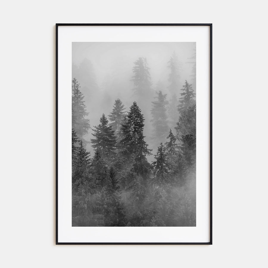 Cloudy Forest Photo B&W No 1 Poster
