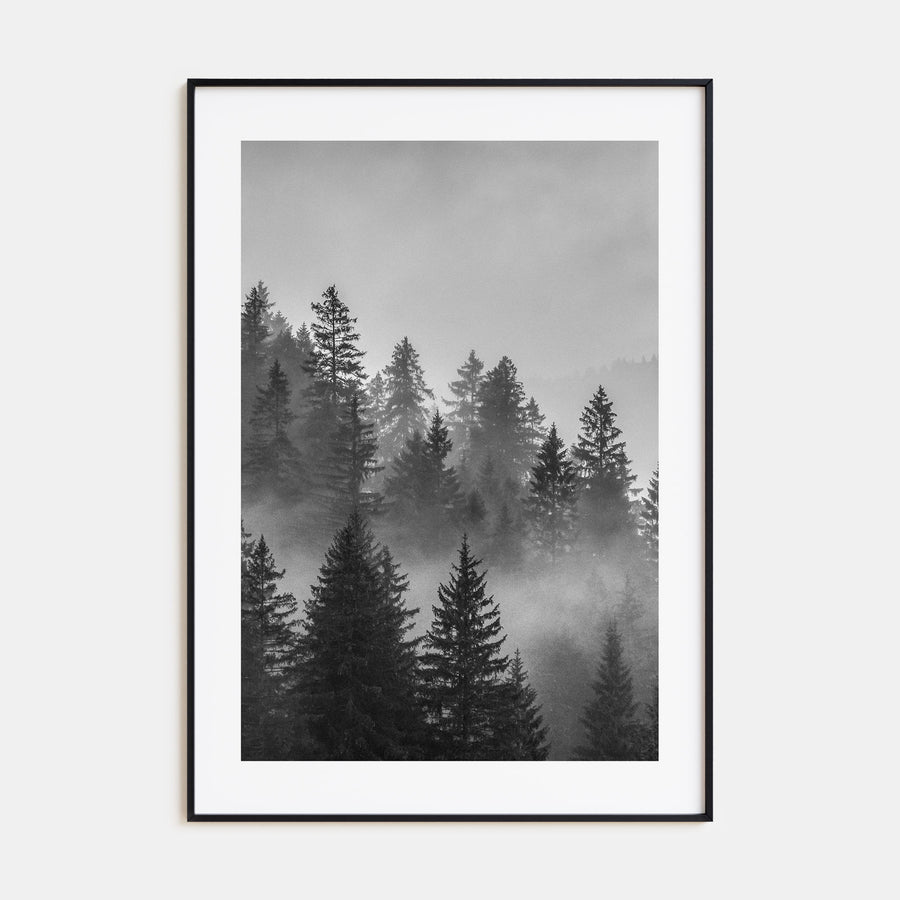 Cloudy Forest Photo B&W No 2 Poster