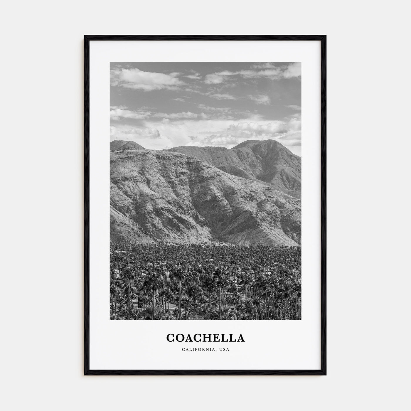 Coachella Portrait B&W Poster