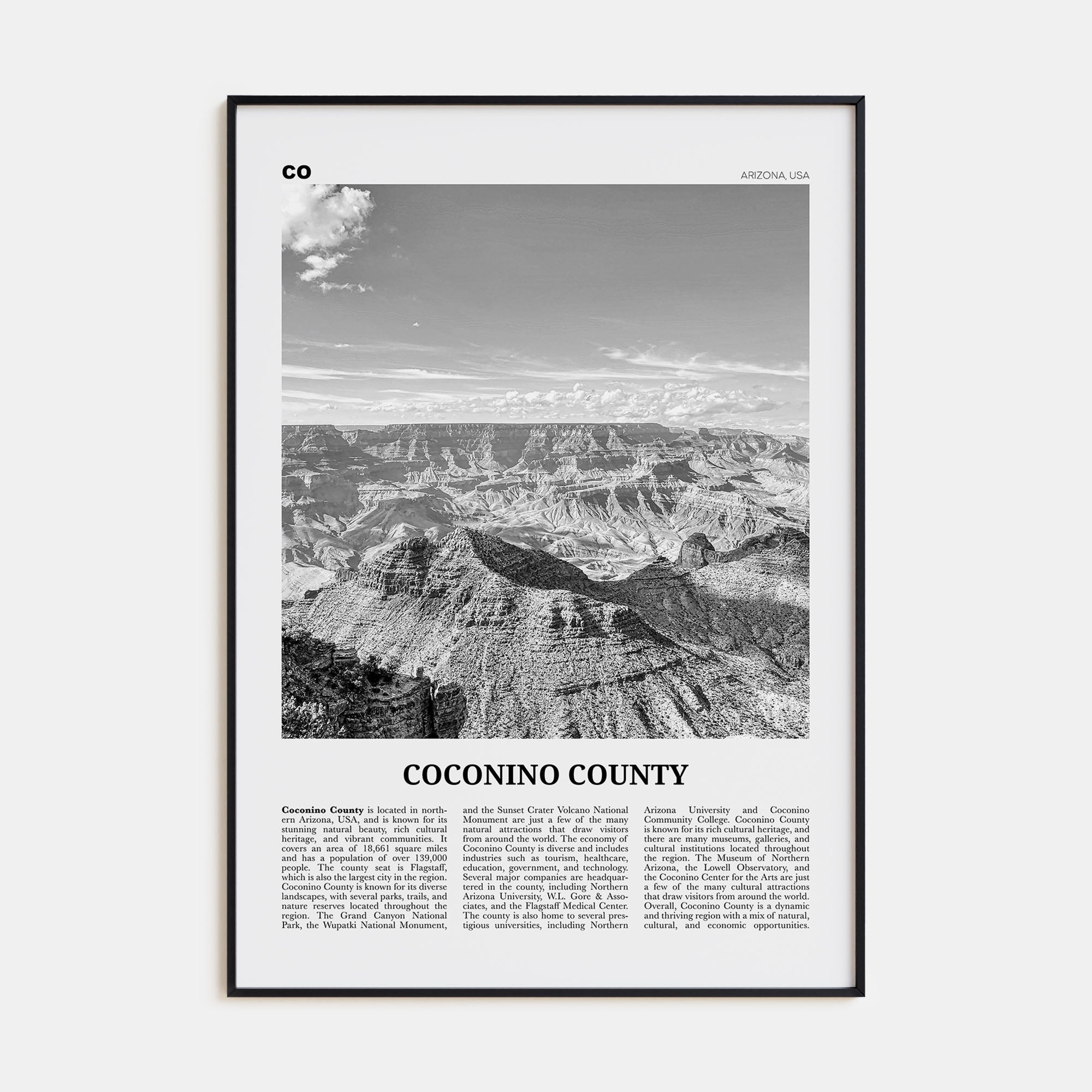 Coconino County Travel B&W Poster