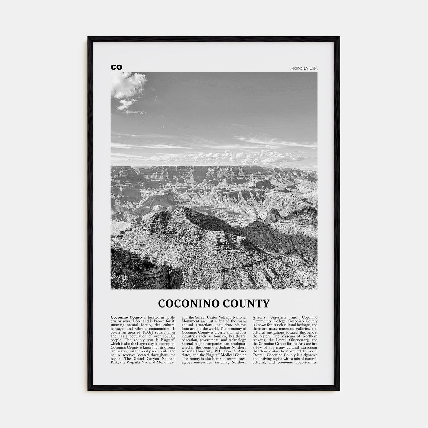 Coconino County Travel B&W Poster