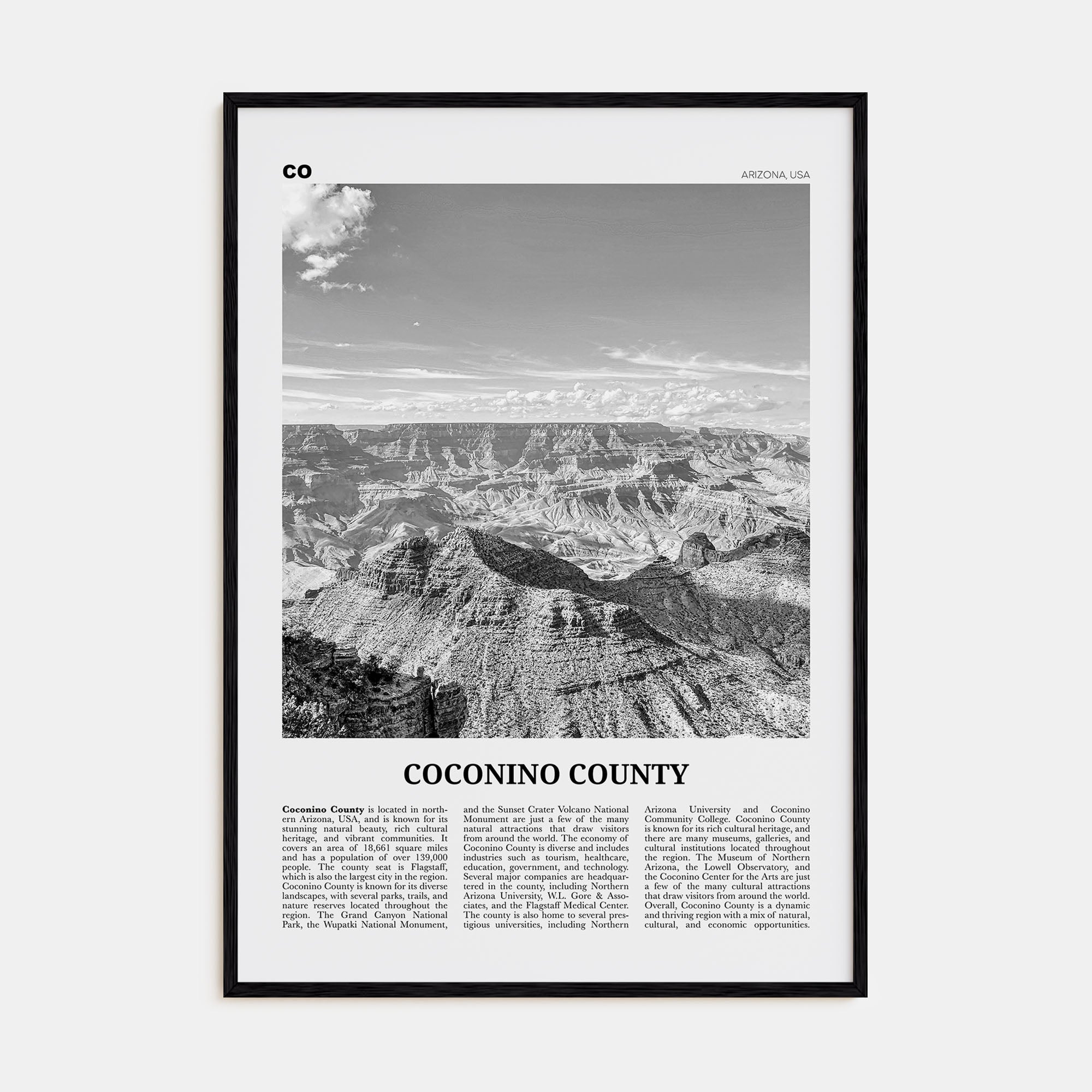 Coconino County Travel B&W Poster