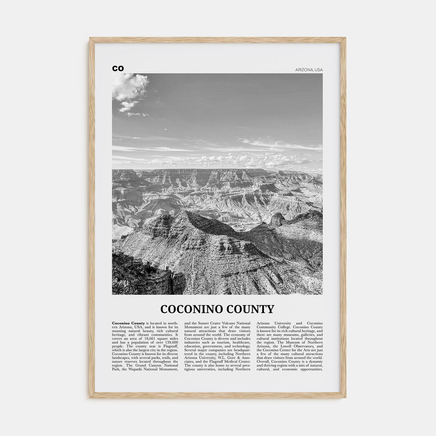 Coconino County Travel B&W Poster