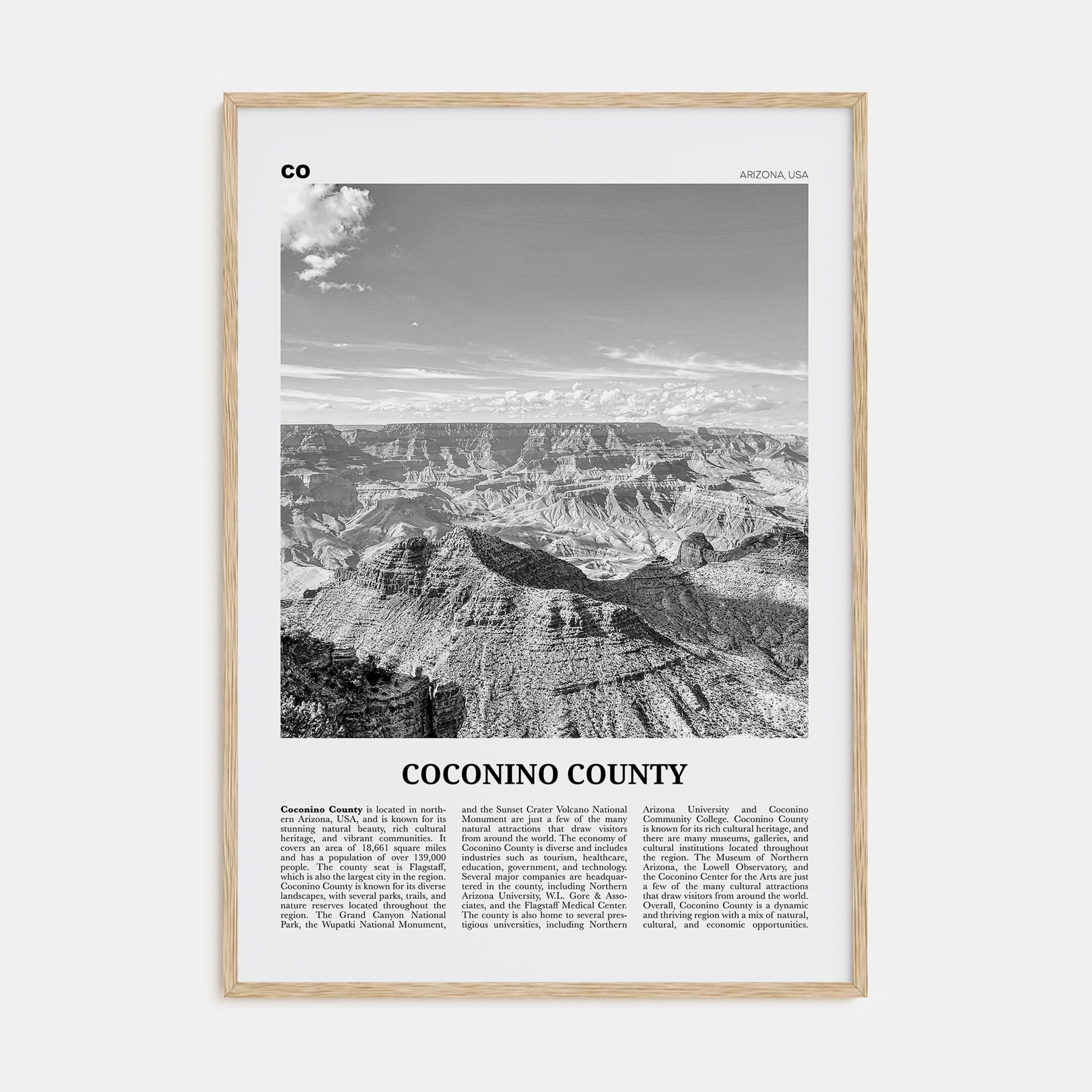 Coconino County Travel B&W Poster