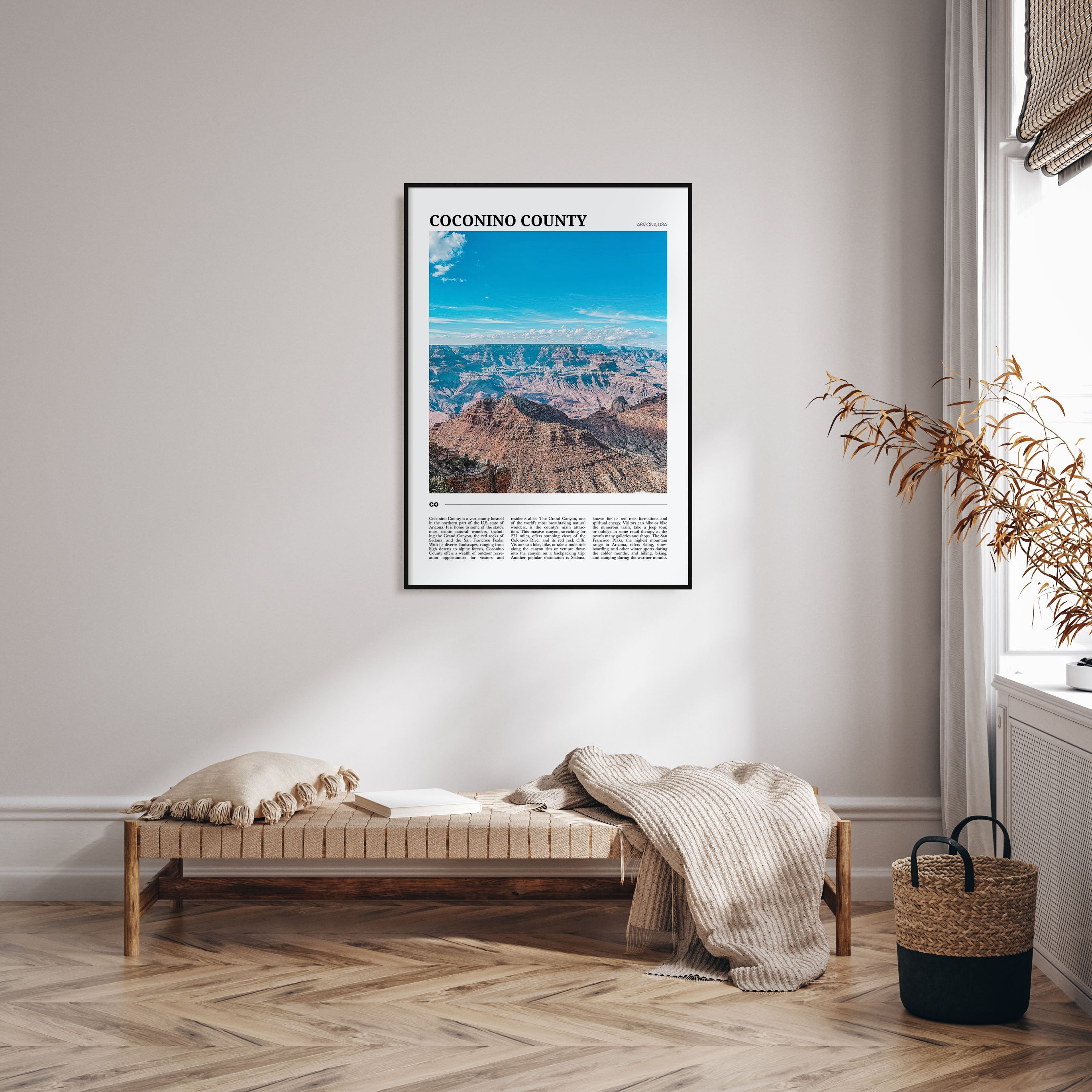 Coconino County Travel Color Poster