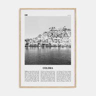 Colima Travel B&W Poster