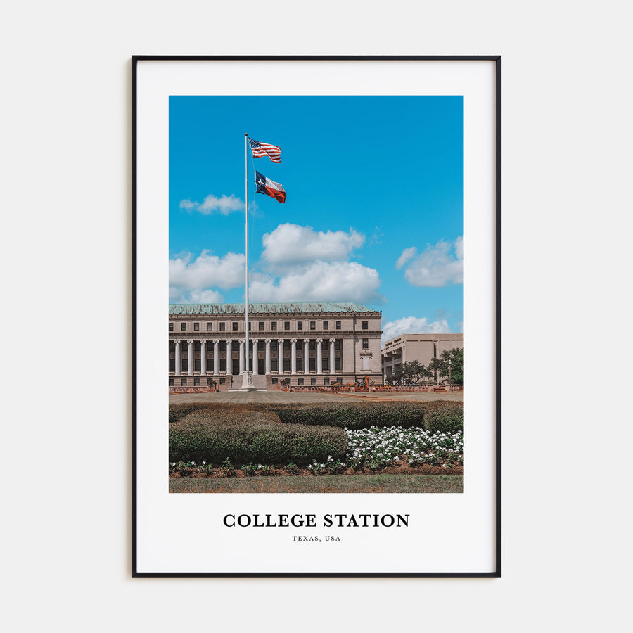 College Station Portrait Color Poster