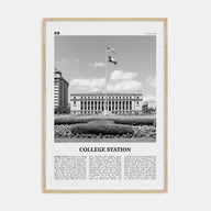 College Station Travel B&W Poster